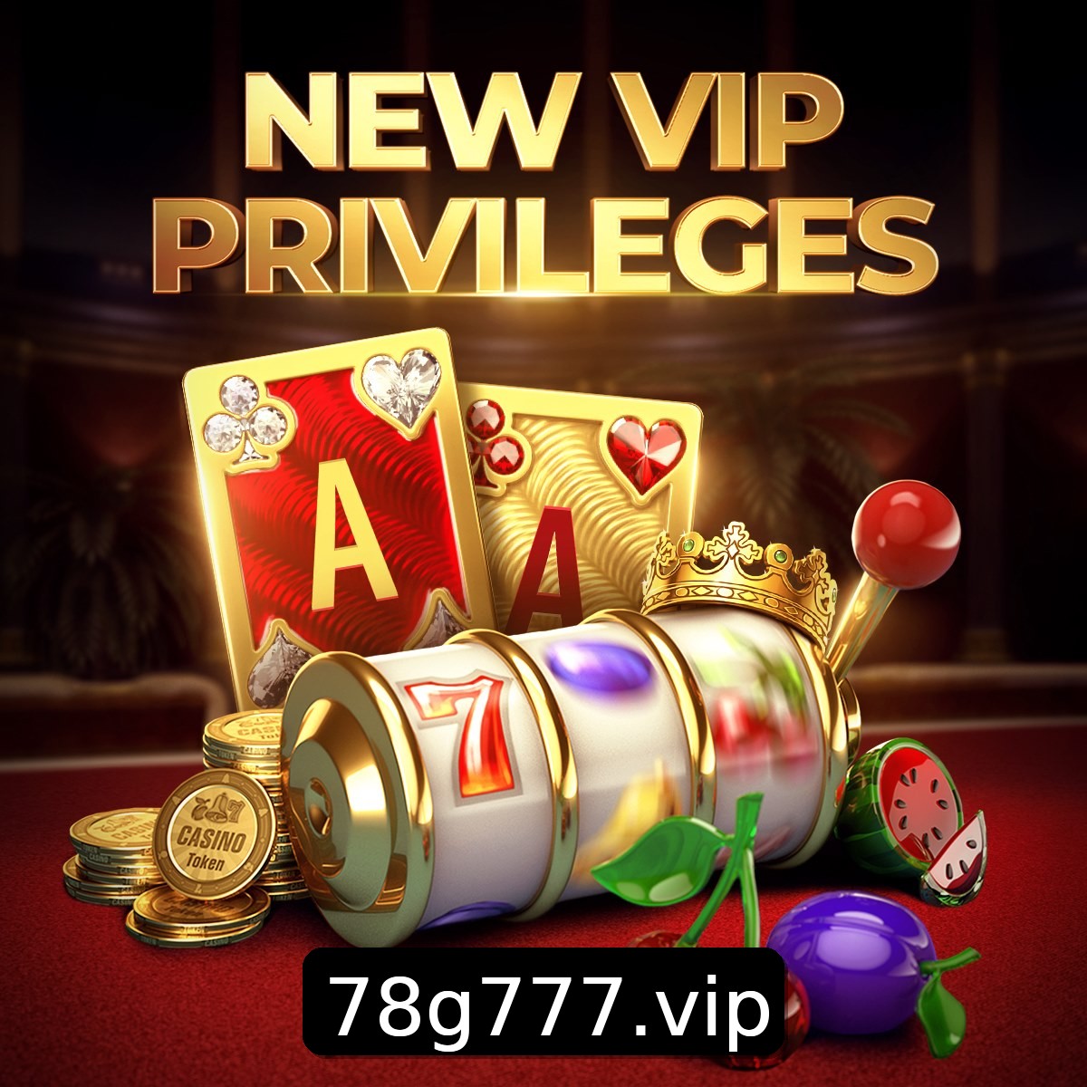 Programa VIP 78G